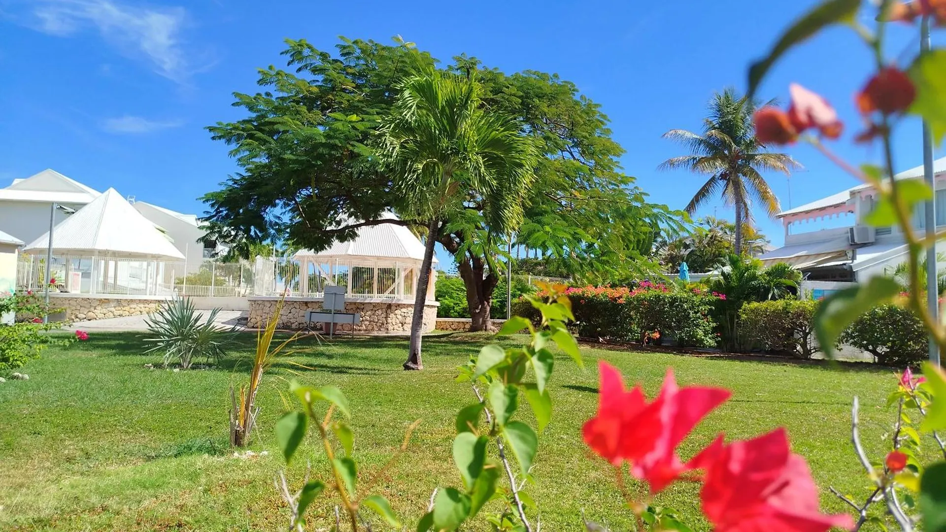 Suite Ajna Citerne Et Piscines Saint-Francois  Guadeloupe